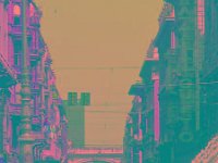 IMGP2896 edited (Medium)